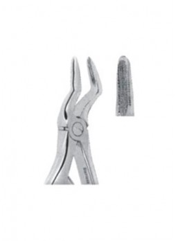 Extracting Forceps